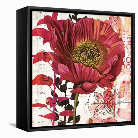 Red Poppy Story-Melissa Pluch-Framed Stretched Canvas