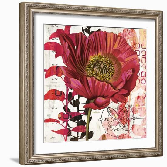 Red Poppy Story-Melissa Pluch-Framed Art Print