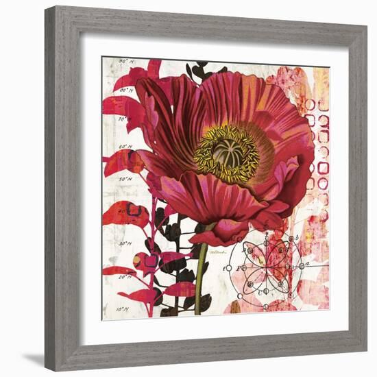 Red Poppy Story-Melissa Pluch-Framed Art Print