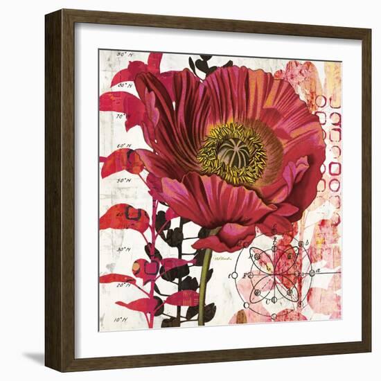 Red Poppy Story-Melissa Pluch-Framed Art Print