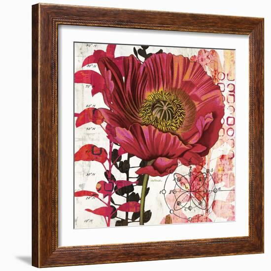 Red Poppy Story-Melissa Pluch-Framed Art Print