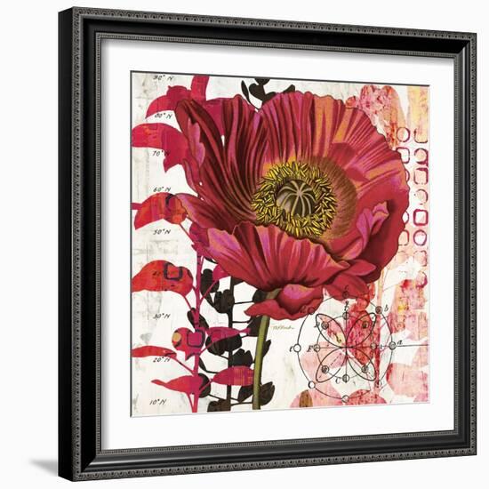 Red Poppy Story-Melissa Pluch-Framed Art Print