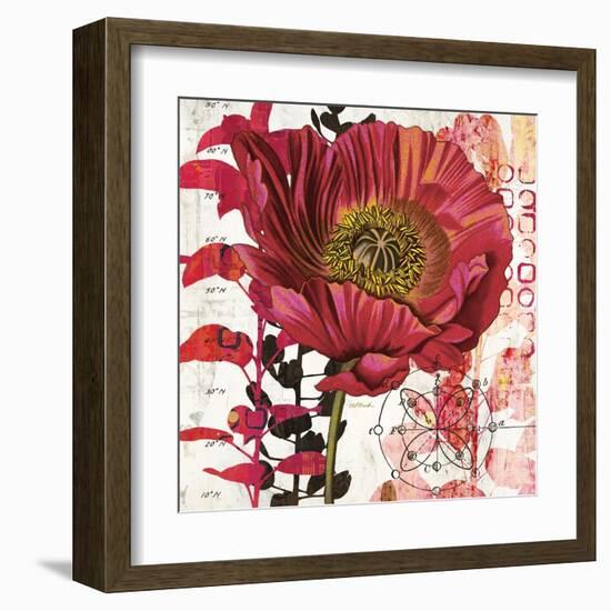 Red Poppy Story-Melissa Pluch-Framed Art Print