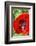 Red poppy-Jim Engelbrecht-Framed Photographic Print