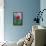 Red poppy-Lisa S. Engelbrecht-Framed Premier Image Canvas displayed on a wall