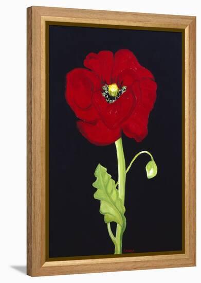 Red Poppy-Soraya Chemaly-Framed Premier Image Canvas