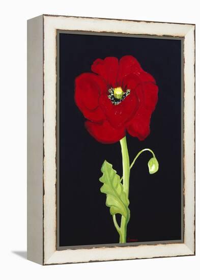 Red Poppy-Soraya Chemaly-Framed Premier Image Canvas