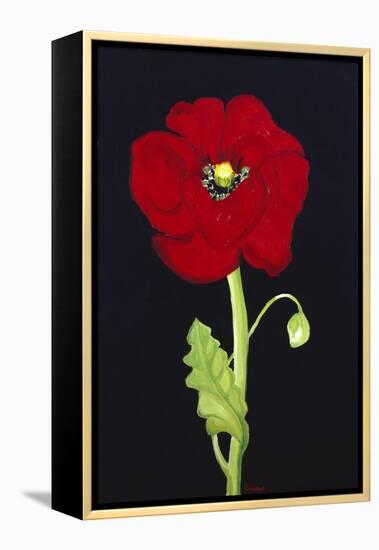 Red Poppy-Soraya Chemaly-Framed Premier Image Canvas