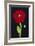 Red Poppy-Soraya Chemaly-Framed Giclee Print