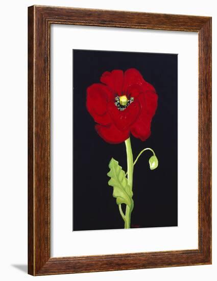 Red Poppy-Soraya Chemaly-Framed Giclee Print
