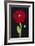 Red Poppy-Soraya Chemaly-Framed Giclee Print