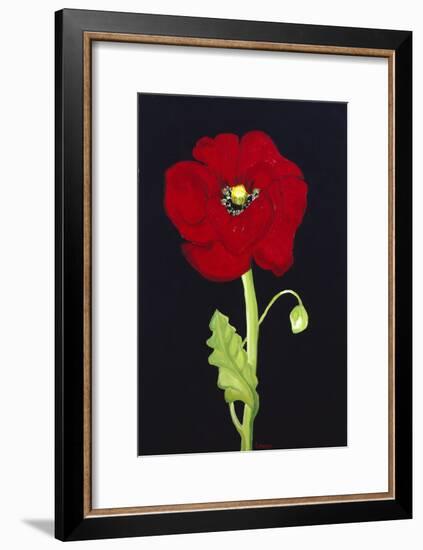 Red Poppy-Soraya Chemaly-Framed Giclee Print