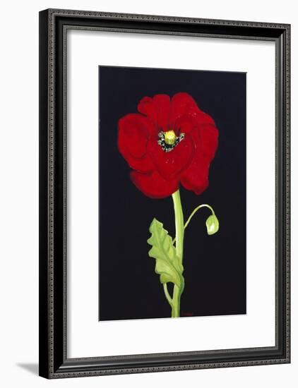 Red Poppy-Soraya Chemaly-Framed Giclee Print