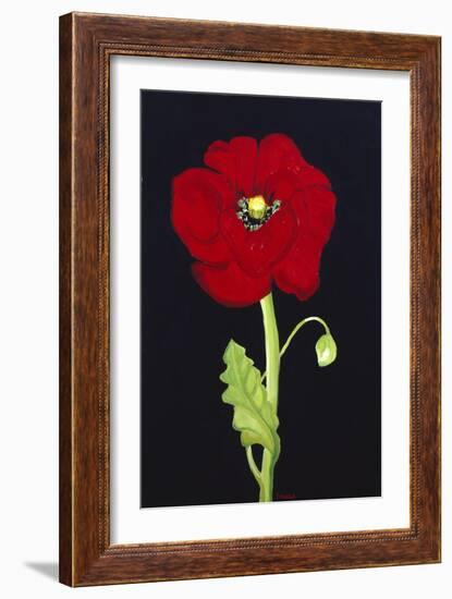 Red Poppy-Soraya Chemaly-Framed Giclee Print