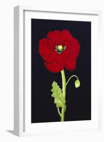 Red Poppy-Soraya Chemaly-Framed Giclee Print