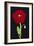 Red Poppy-Soraya Chemaly-Framed Giclee Print