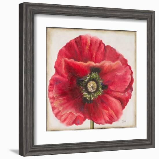 Red Poppy-Patricia Pinto-Framed Art Print