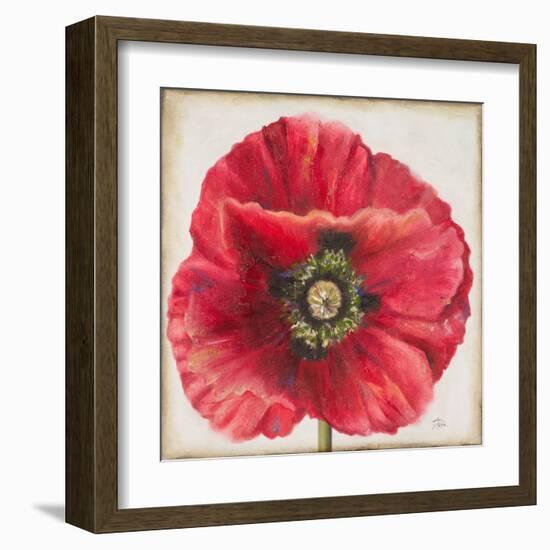 Red Poppy-Patricia Pinto-Framed Art Print