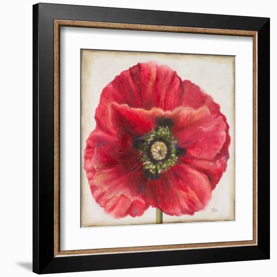 Red Poppy-Patricia Pinto-Framed Art Print