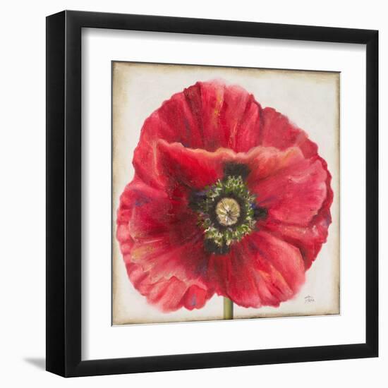 Red Poppy-Patricia Pinto-Framed Art Print