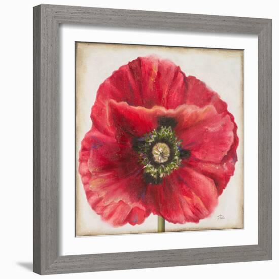 Red Poppy-Patricia Pinto-Framed Art Print