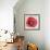 Red Poppy-Patricia Pinto-Framed Art Print displayed on a wall