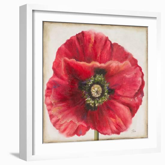 Red Poppy-Patricia Pinto-Framed Art Print