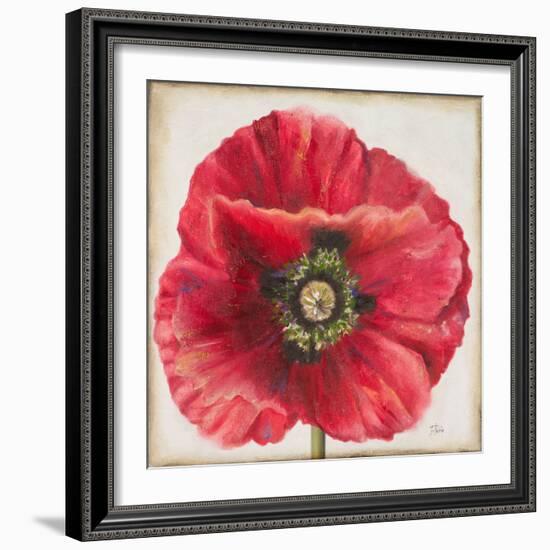 Red Poppy-Patricia Pinto-Framed Art Print