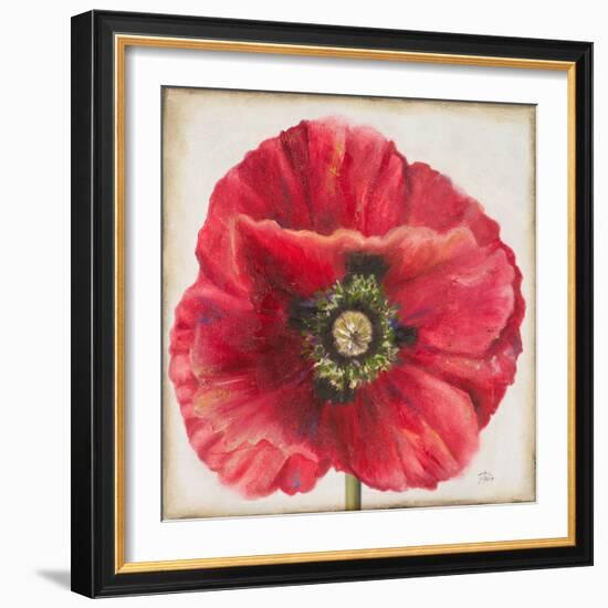 Red Poppy-Patricia Pinto-Framed Art Print