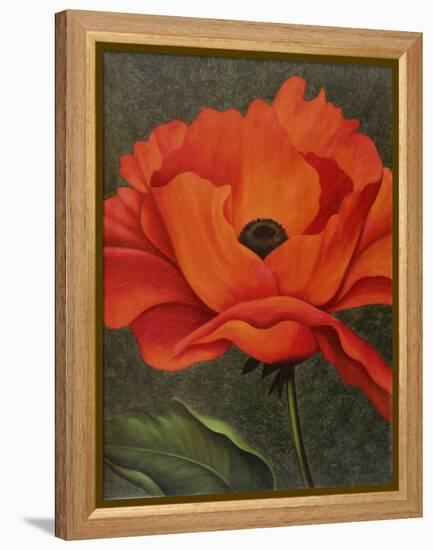 Red Poppy-John Zaccheo-Framed Premier Image Canvas