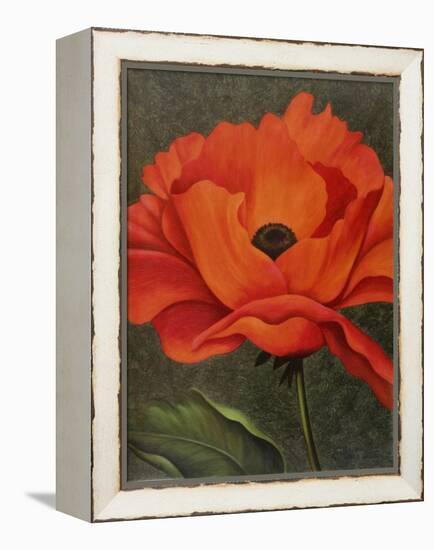 Red Poppy-John Zaccheo-Framed Premier Image Canvas