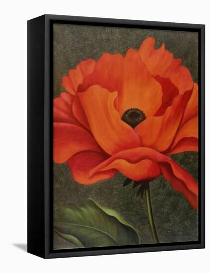 Red Poppy-John Zaccheo-Framed Premier Image Canvas