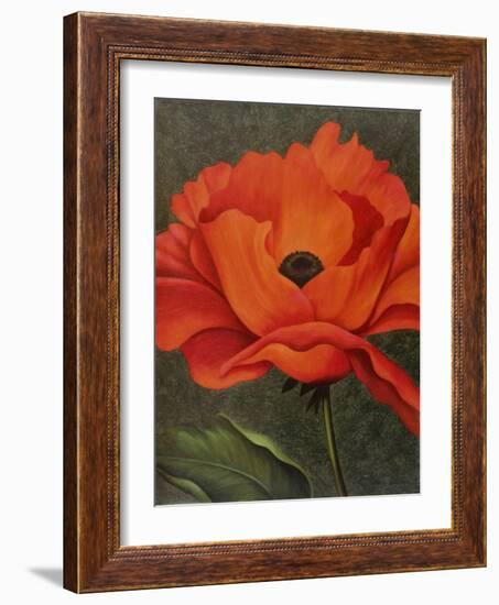 Red Poppy-John Zaccheo-Framed Giclee Print