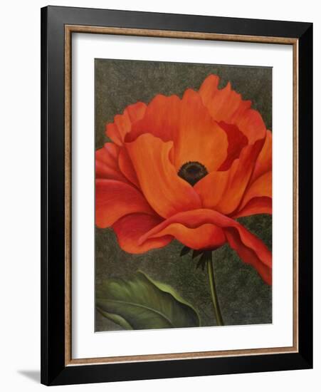 Red Poppy-John Zaccheo-Framed Giclee Print