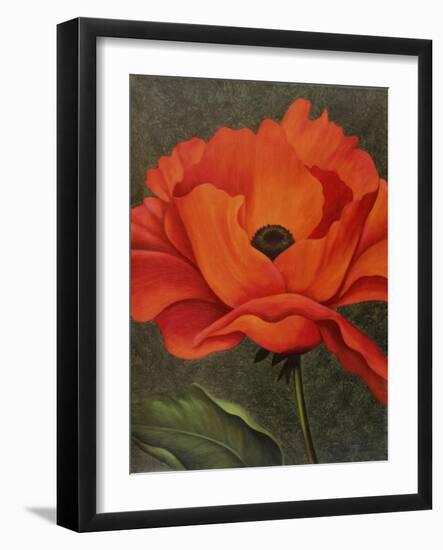 Red Poppy-John Zaccheo-Framed Giclee Print