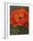 Red Poppy-John Zaccheo-Framed Giclee Print