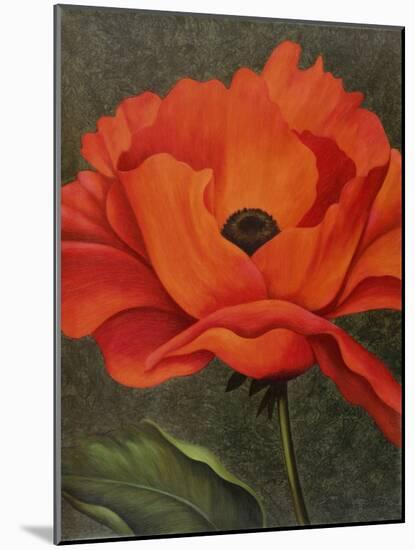 Red Poppy-John Zaccheo-Mounted Giclee Print