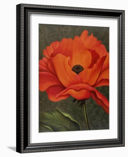 Red Poppy-John Zaccheo-Framed Giclee Print