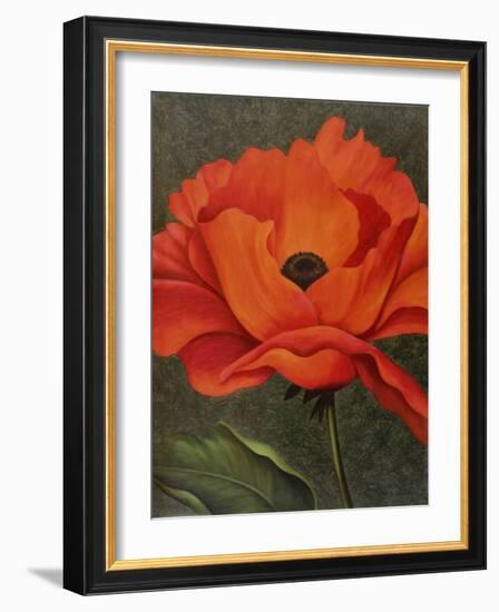 Red Poppy-John Zaccheo-Framed Giclee Print