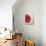 Red Poppy-Color Bakery-Giclee Print displayed on a wall