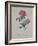 Red Provence Rose, A Botanical Illustration-Georg Dionysius Ehret-Framed Giclee Print