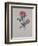 Red Provence Rose, A Botanical Illustration-Georg Dionysius Ehret-Framed Giclee Print