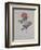 Red Provence Rose, A Botanical Illustration-Georg Dionysius Ehret-Framed Giclee Print