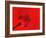 Red Radial, Japan-Shin Terada-Framed Photographic Print