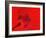 Red Radial, Japan-Shin Terada-Framed Photographic Print