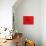 Red Radial, Japan-Shin Terada-Mounted Photographic Print displayed on a wall