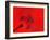 Red Radial, Japan-Shin Terada-Framed Photographic Print