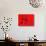 Red Radial, Japan-Shin Terada-Photographic Print displayed on a wall