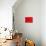 Red Radial, Japan-Shin Terada-Photographic Print displayed on a wall