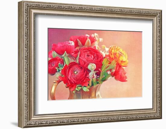 Red Ranunculus Flowers-Tsokur-Framed Photographic Print